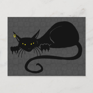 Cartão Postal Cartão-postal Solo Cat