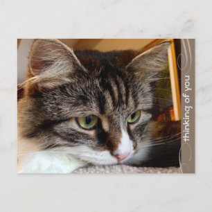 Cartão Postal Cartão-postal Soulerian Pensando em Você