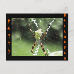 Cartão Postal Cartão-postal Spider
