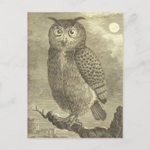 Cartão Postal Cartão-postal Spooky Vintage Halloween Eagle Owl