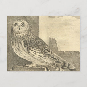 Cartão Postal Cartão-postal Spooky Vintage Halloween Owl