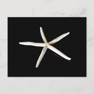 Cartão Postal Cartão-postal Starfish