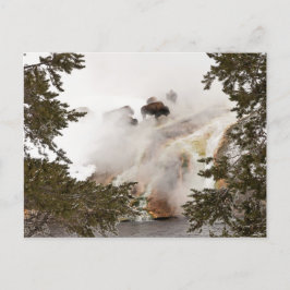 Cartão Postal Cartão-postal Steamy Bison