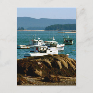 Cartão Postal Cartão-postal Stonington, Maine