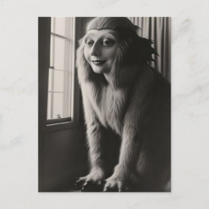 Cartão Postal Cartão-postal Strange Pet Halloween