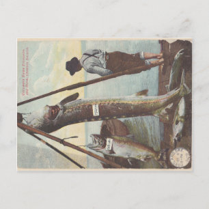 Cartão Postal Cartão-postal Sturgeon & Salmon Catch