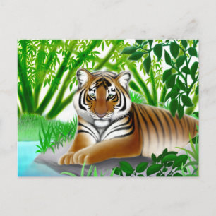 Cartão Postal Cartão-postal Sumatran Tiger Ameaçado