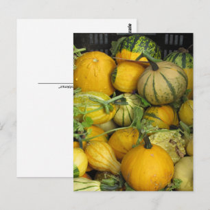 Cartão Postal Cartão-postal - Summer Squash