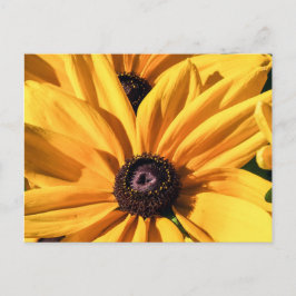 Cartão Postal Cartão-postal Susan Eyed Preto