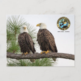 Cartão Postal Cartão-postal SWFLEagleCam