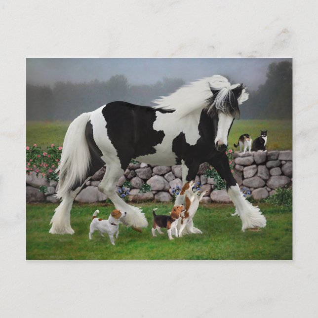 Cartão Postal Cartão-postal "Tamlin and the Pups" (Frente)