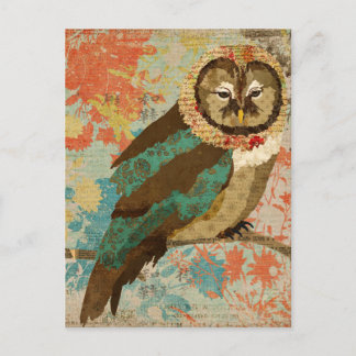Cartão Postal Cartão-postal Teal Owl