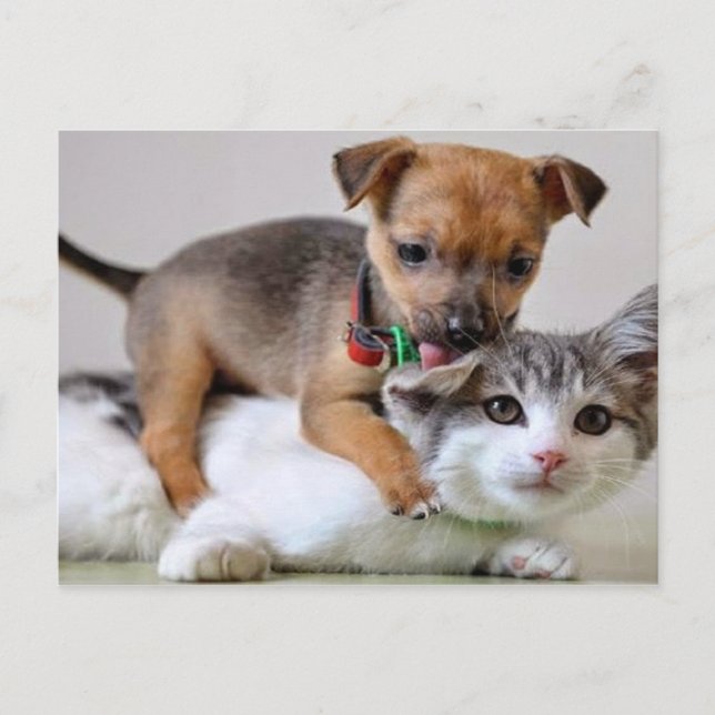 Cartão Postal Cartão-postal - Tempo de Lava! (Frente)