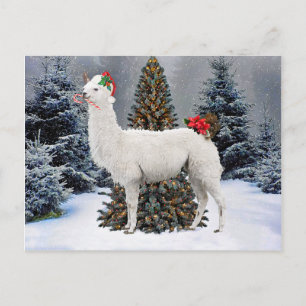 Cartão Postal Cartão-postal "The Christmas Llama"