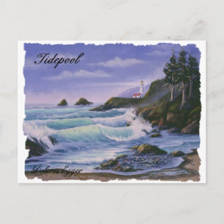 Cartão Postal Cartão-postal Tidepool