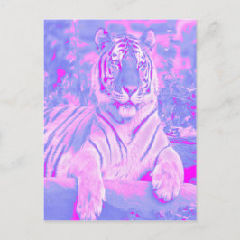 Cartão Postal Cartão-postal Tigre-Rosa