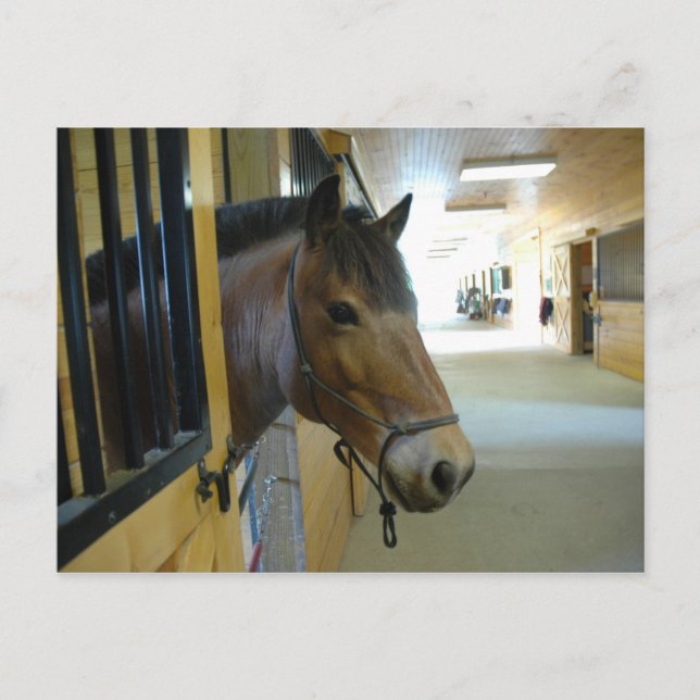 Cartão Postal Cartão-postal Titan (Frente)