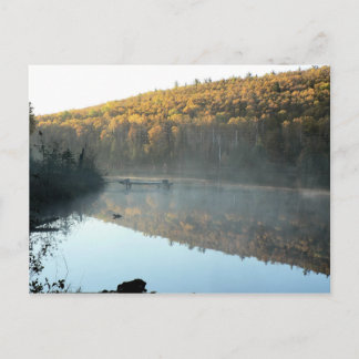 Cartão Postal Cartão-postal Trestle Pine Morning