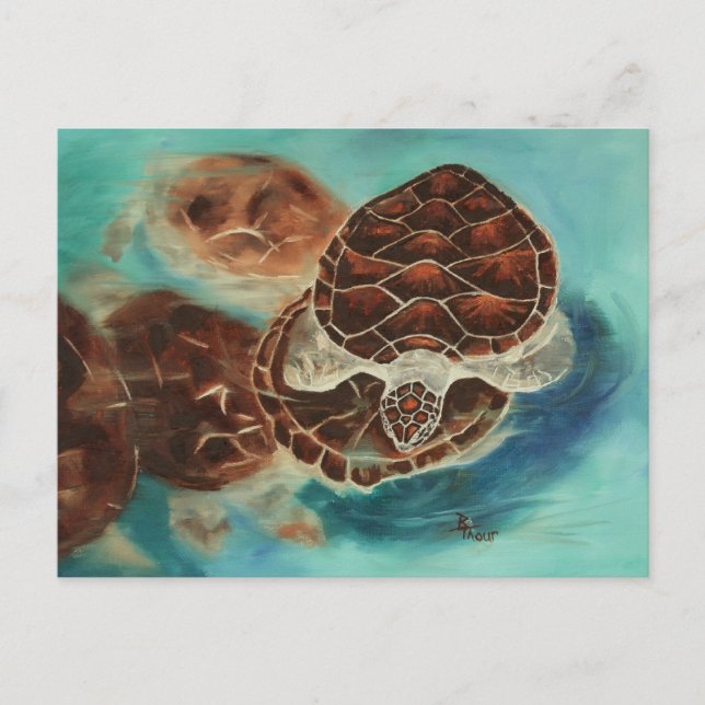 Cartão Postal Cartão-postal Turtle Time (Frente)