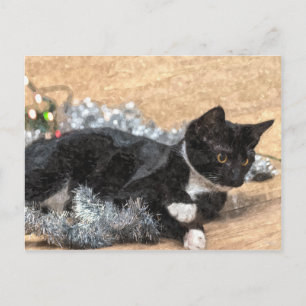 Cartão Postal Cartão-postal Tuxedo Kitten Tinsel e Luzes