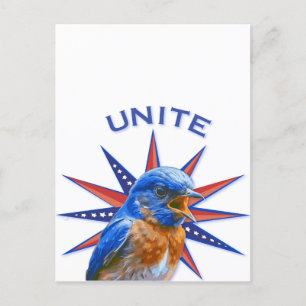 Cartão Postal Cartão-postal UNITE Bluebird