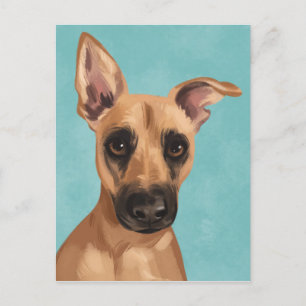 Cartão Postal Cartão-postal Vaden Black Mouth Cur