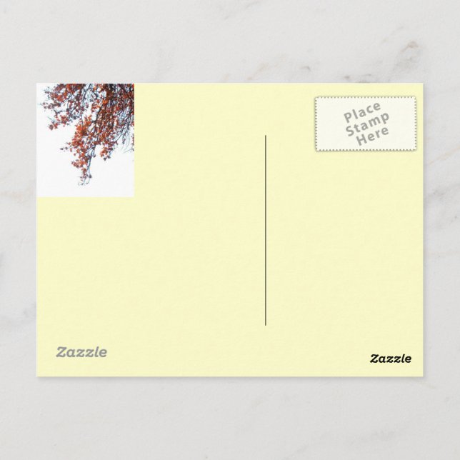 Cartão Postal Cartão-postal vermelho na colagem do vento (Verso)