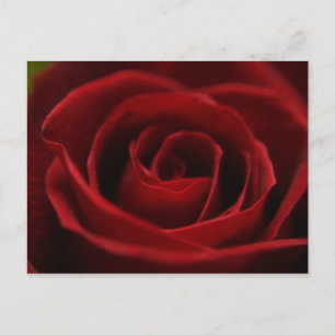 Cartão Postal Cartão-postal vermelho plácio