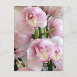 Cartão Postal Cartão-postal Vertical Orquídeo Rosa