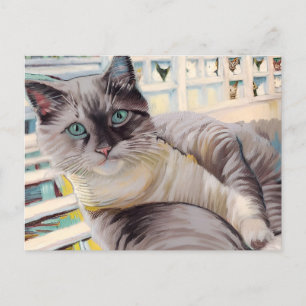 Cartão Postal Cartão-postal Vincent Cat Gogh