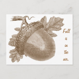 Cartão Postal Cartão-postal Vintage Acorn