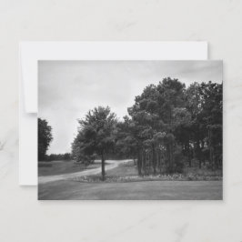 Cartão Postal Cartão-postal Vintage Black and White Forest