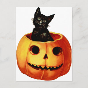 Cartão Postal Cartão-postal Vintage Black Cat e Pumpkin