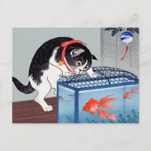 Cartão Postal Cartão-postal Vintage Cat e Goldfish