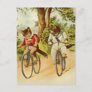 Cartão Postal Cartão-postal Vintage Cats Riding Bicicletas Ilus