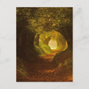 Cartão Postal Cartão-postal Vintage Illustration