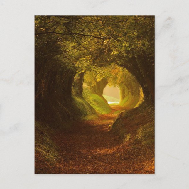 Cartão Postal Cartão-postal Vintage Illustration (Frente)