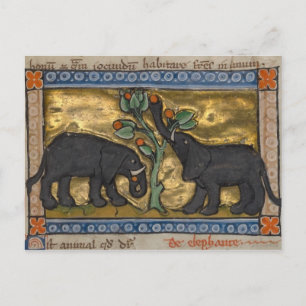 Cartão Postal Cartão-postal Vintage Illustration