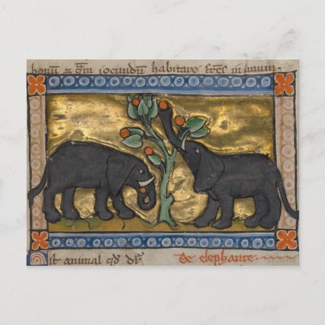 Cartão Postal Cartão-postal Vintage Illustration (Frente)