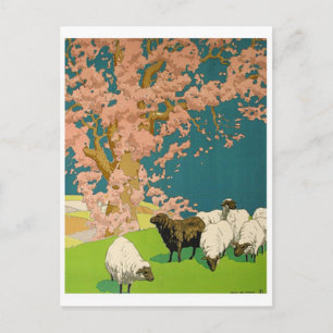 Cartão Postal Cartão-postal Vintage Illustration