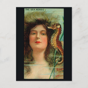 Cartão Postal Cartão-postal Vintage Illustration