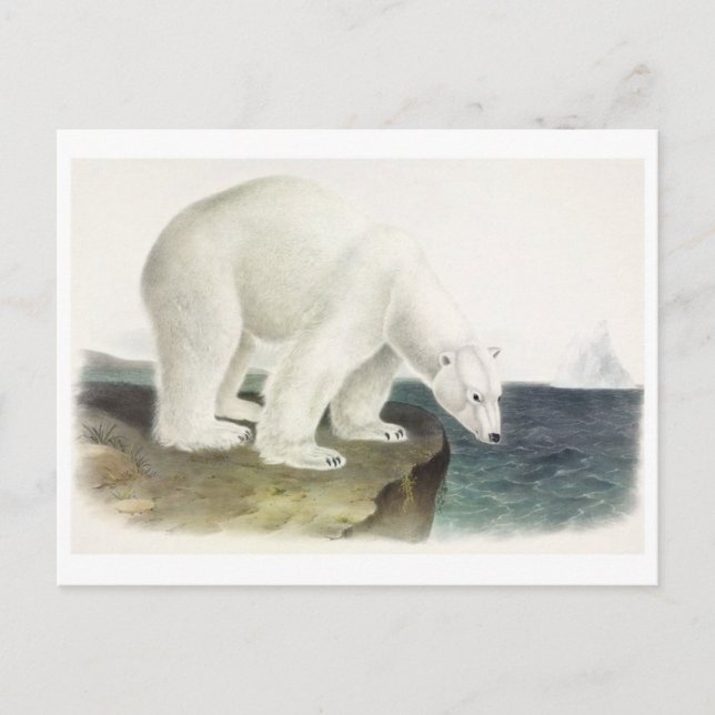 Cartão Postal Cartão-postal Vintage Illustration (Frente)