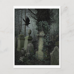 Cartão Postal Cartão-postal Vintage Illustration