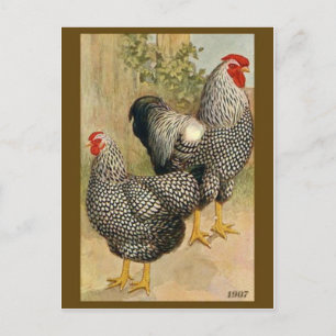 Cartão Postal Cartão-postal Vintage Illustration