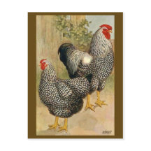 Cartão-postal Vintage Illustration