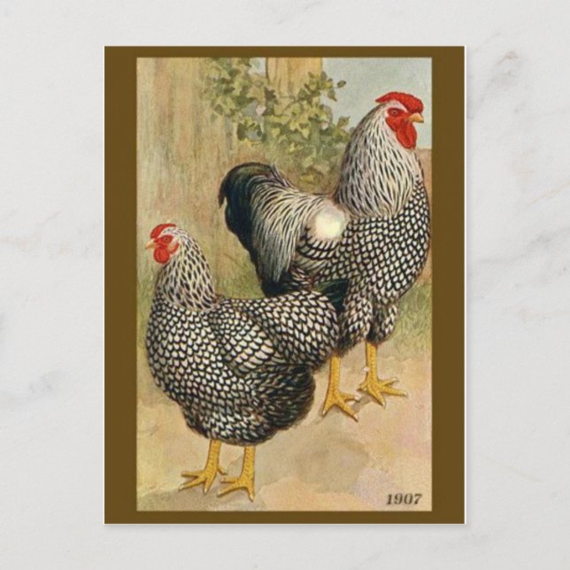 Cartão Postal Cartão-postal Vintage Illustration (Frente)