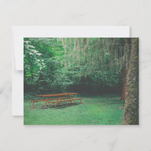 Cartão Postal Cartão-postal Vintage Mossy Bench