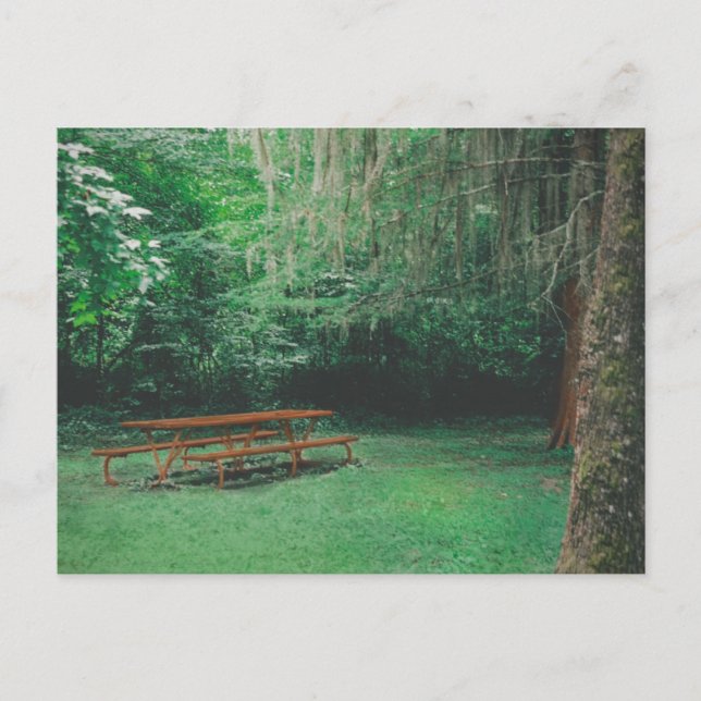 Cartão Postal Cartão-postal Vintage Mossy Bench (Frente)
