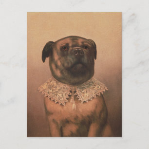 Cartão Postal Cartão-postal Vintage Pup