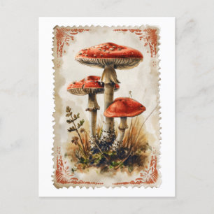 Cartão Postal Cartão-postal Vintage Red Mushroom